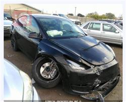 تسلا موديل Y